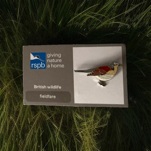 Rspb pin badge fieldfare - rspb-pin, on