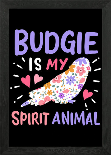 Budgie budgerigar parakeet - budgie,