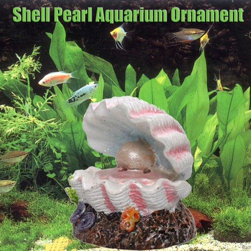 Shell pearl air - air, stone