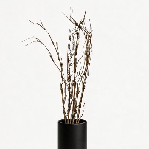 Pcs curly willow branches - 5,