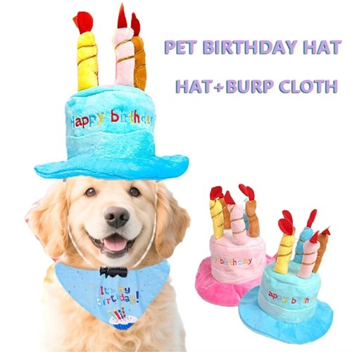 Pet birthday cake hat - birthday,