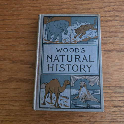 Wood natural history - wood's,