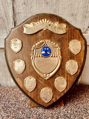 Big trophy shield - trophy, 9.5”