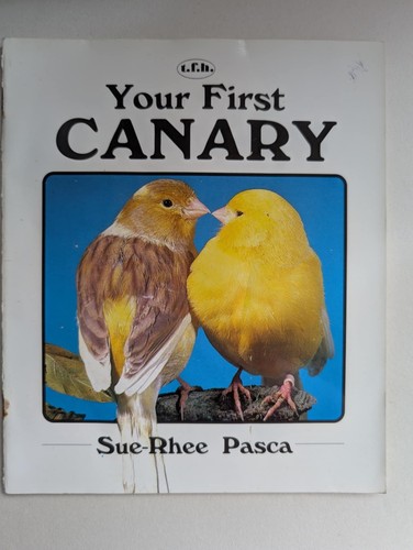 Your first canary sue rhee - first, sue-rhee