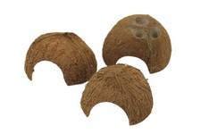 Half Coconut shell - fish hide