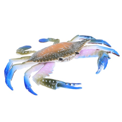 Colorful crab toys - crab, child