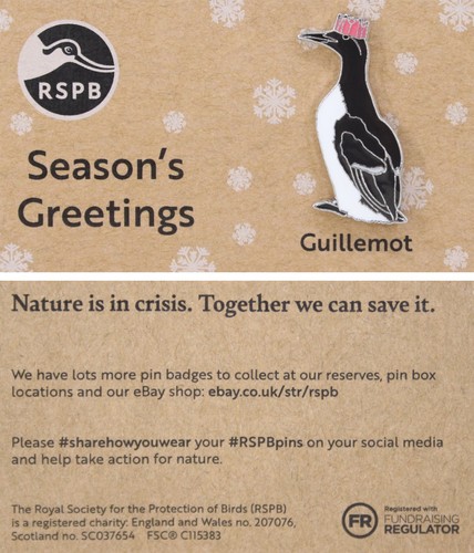 Rspb pin badge niic - niic, christmas