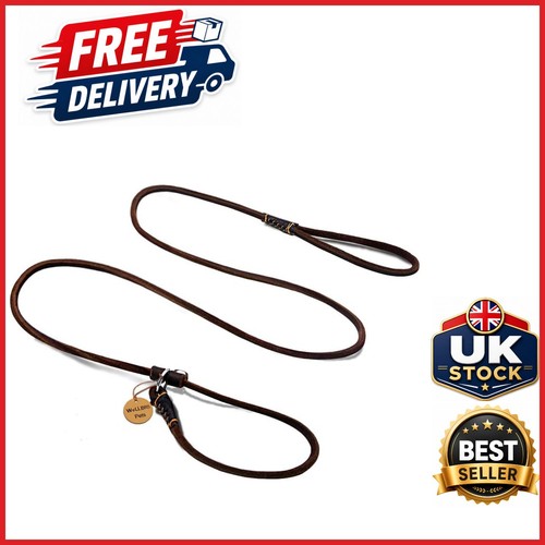 Adjustable slip lead dog leash - lead,