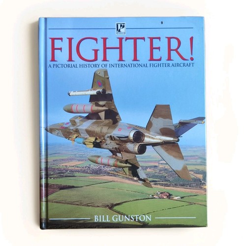Fighter military aircraft - fighter,