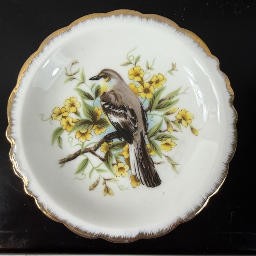 Vantage beswick verona - beswick, birds
