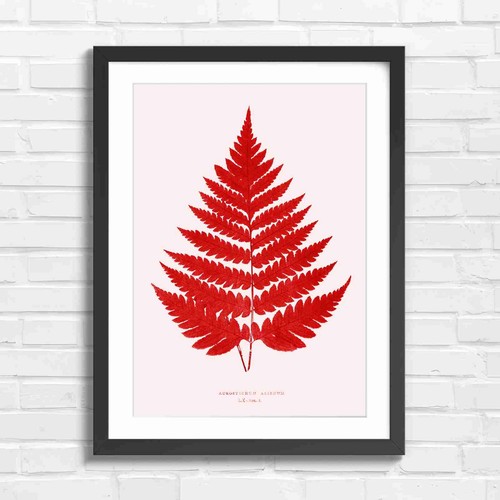 Botanical fern leaf art red - botanical,