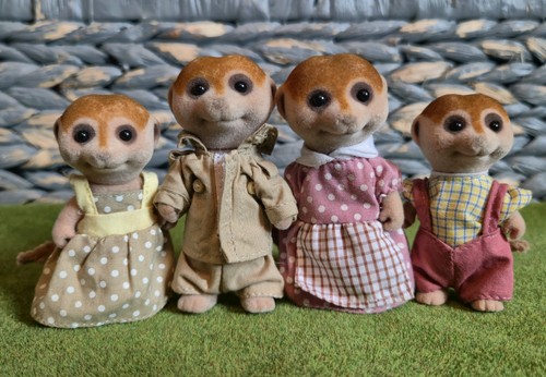 Sylvanian families spotter - families,
