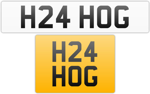 Hog harley davidson - 24,