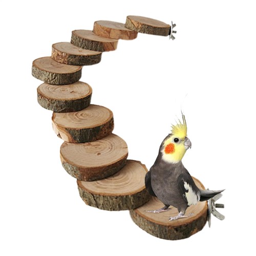 Bird ladder cage accessories - ladder,