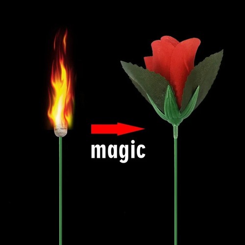 1pc torch flower - 1pc, magic
