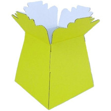 Flower Bouquet Vase Boxes