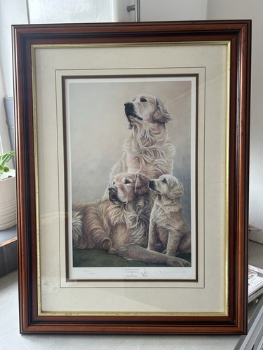 Nigel hemming generations - hemming,