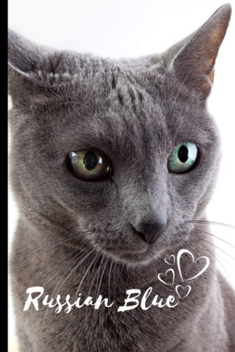 Russian blue cat notebook - blue,