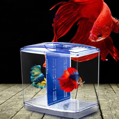 Double grid acrylic clear - double,