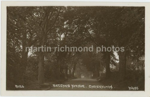 Beeches avenue carshalton - beeches,