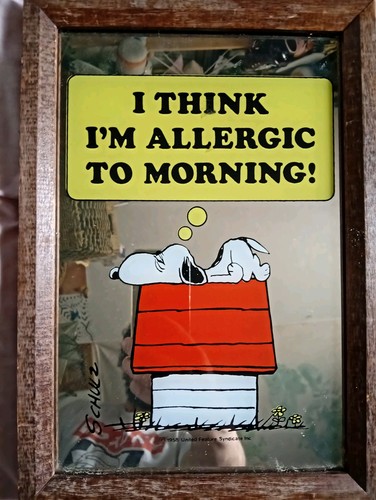 Vintage snoopy mirror - vintage,