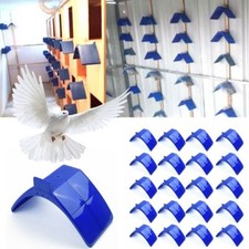 30pcs dove pigeon - pigeon, rest