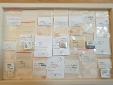 Brand New Ebel Watch Screws x