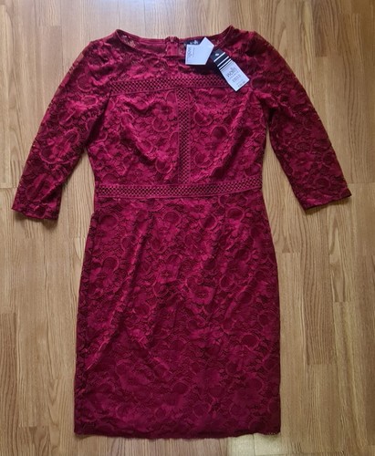 Wallis ladies burgundy lace - burgundy,