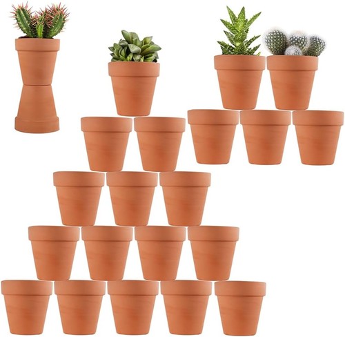 Inch terracotta pots - 3,