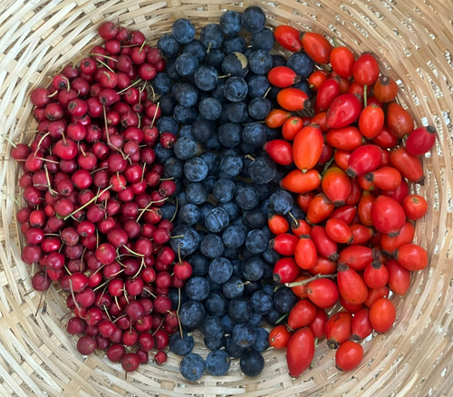 Mixed hedgerow pack 750g - mixed,