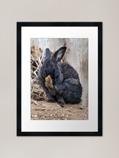 Muddy Rabbit's Foot Framed Art