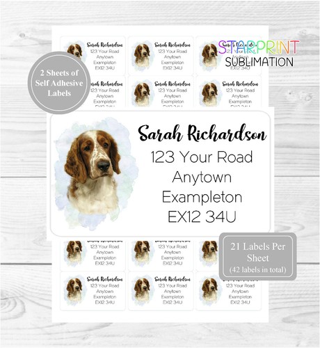 Welsh springer spaniel - welsh,