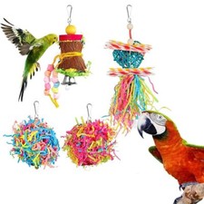 4pcs set bird - parrot, shredding
