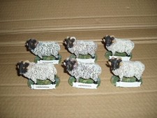 6 CERAMIC   - SHEEP / RAMS