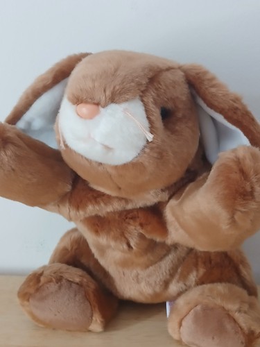 Beanie buddy ears - ty,