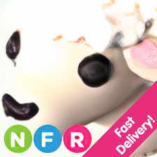Lamb ✨ Neon Fly Ride MFR ✨