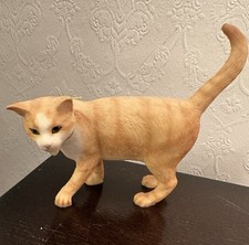 Leonardo Collection Ginger Cat