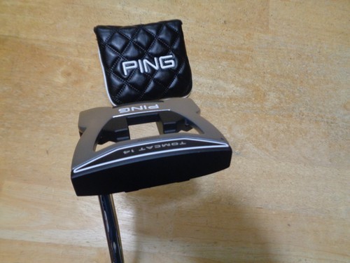 Mint ping tomcat counter - mint,