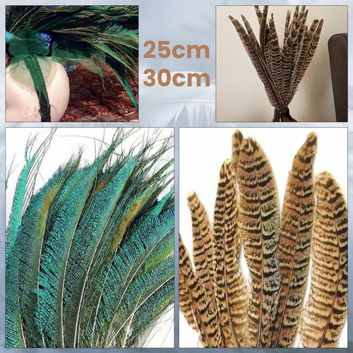 10pcs natural pheasant - 10pcs,