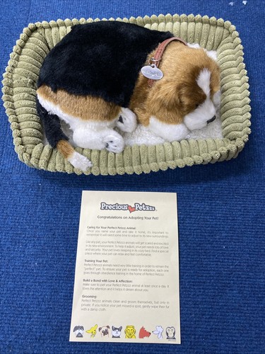 Perfect petzzz breathing - perfect,