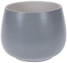 Small ceramic plant - small, indoor