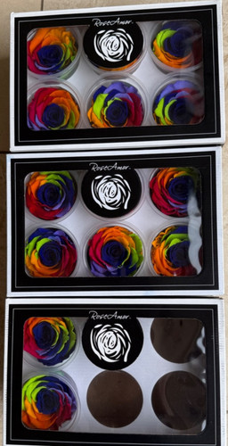 Rainbow blue preserved real - rainbow,