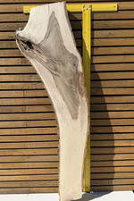 Character Walnut Live Edge