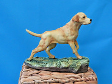 Heredities LABRADOR (yellow)