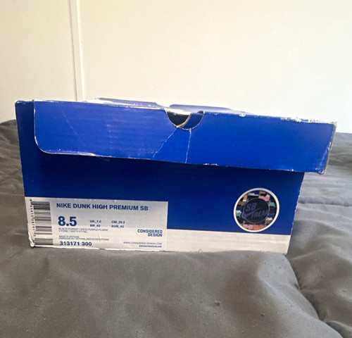 Nike dunk high - sb,