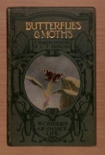 Wonders of Insect Life