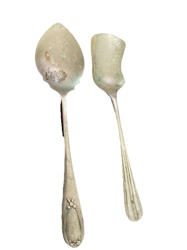 Silver plated fruit sugar - fruit/,