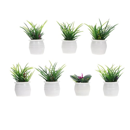 Pcs miniature potted plants - potted,