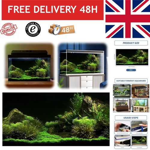 Aquarium fish tank background - aquarium,