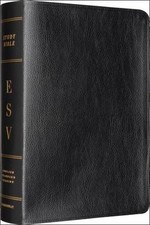 ESV Study Bible, Very Good Condition (Leather Bound, 2008)
